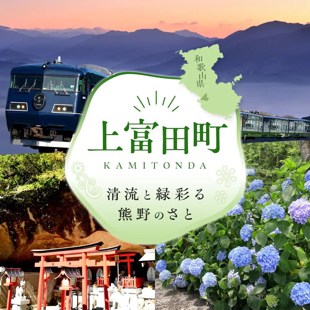 ［2027年3月出荷分］和歌山産ミニトマト「アイコトマト」約1kg（M・Lサイズおまかせ） ［TM265］