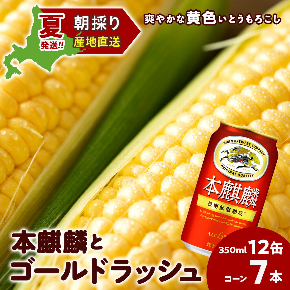 【ふるさと納税】2025年夏発送 キリン本麒麟350ml 12缶＆黄色いとうもろこしゴールドラッシュ7本 北海道千歳産 野菜 とうもろこし とうきび キリンビール 麒麟ビール ビール 【北海道千歳市】ギフト ふるさと納税 KIRIN