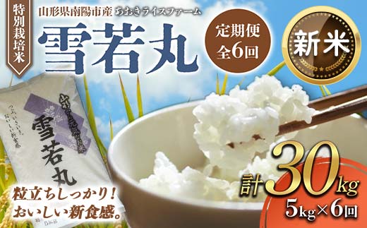 【令和8年産 新米 先行予約】 【金賞受賞農家】 《定期便6