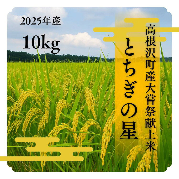 【ふるさと納税】高根沢町産とちぎの星（精米）10kg ※離島への配送不可 ※2025年10月中旬～12月下旬頃に順次発送予定