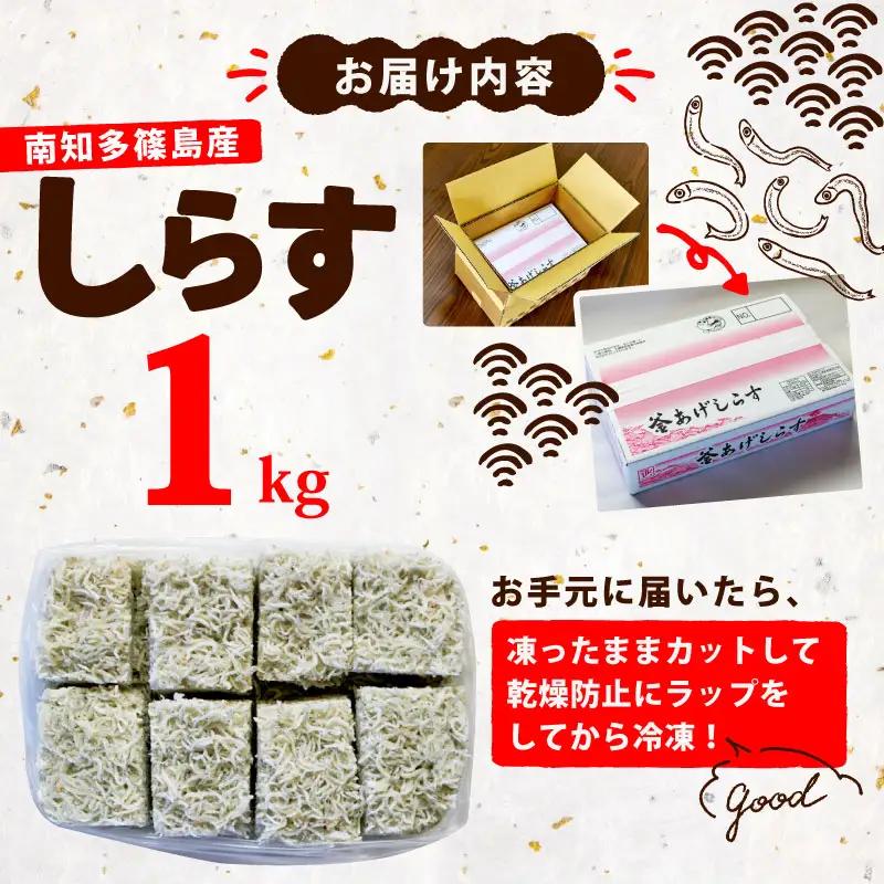釜揚げ しらす 1kg 冷凍 テルニ商店 SIRASU 人気シラス 愛知県 南知多町 ご飯 ごはん 離乳食 丼 料理 国産 シラス 栄養 人気 おすすめ シラス しらす しらすごはん パスタ トースト