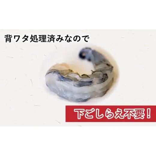 【 えび 】 ブラックタイガー 定期便 約1.2kg × 6回 えび