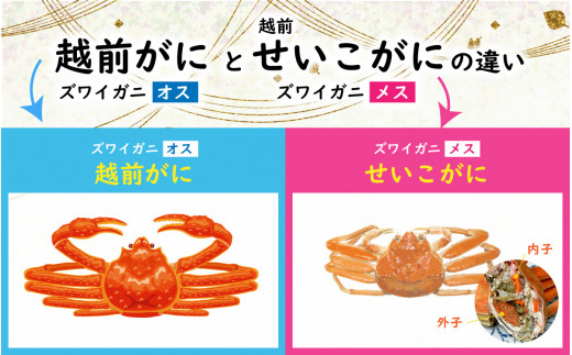 【8月発送】【訳あり】釜茹で　蟹好き集まれ！越前産せいこがに【甲羅盛70g前後 ３個セット】 [A-096016_08] 【トライアル返礼品】/ ズワイガニ セイコガニ 越前がに 甲羅盛り かに 冷凍 蟹 楚蟹 セイコ蟹 越前かに 香箱がに こうばこがに 親ガニ こっぺがに せこがに 甲羅蟹 甲羅がに 香箱蟹 バレンタイン ホワイトデー せいこがに セコガニ カニ