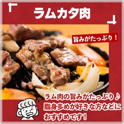 秘伝のタレ漬け 熟成 ジンギスカン ラムカタ 120g×3袋 冷凍 あんべ 安部商店【配送不可地域：離島】【1568995】