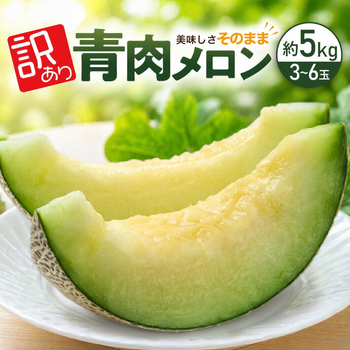 【ふるさと納税】訳アリ 青肉メロン 優品 品種おまかせ 3～6玉 約5kg 7月上旬〜8月上旬頃お届け ※着日指定不可 メロン 果物 くだもの わけあり フルーツ 夏 旬 酒田 庄内 庄内砂丘