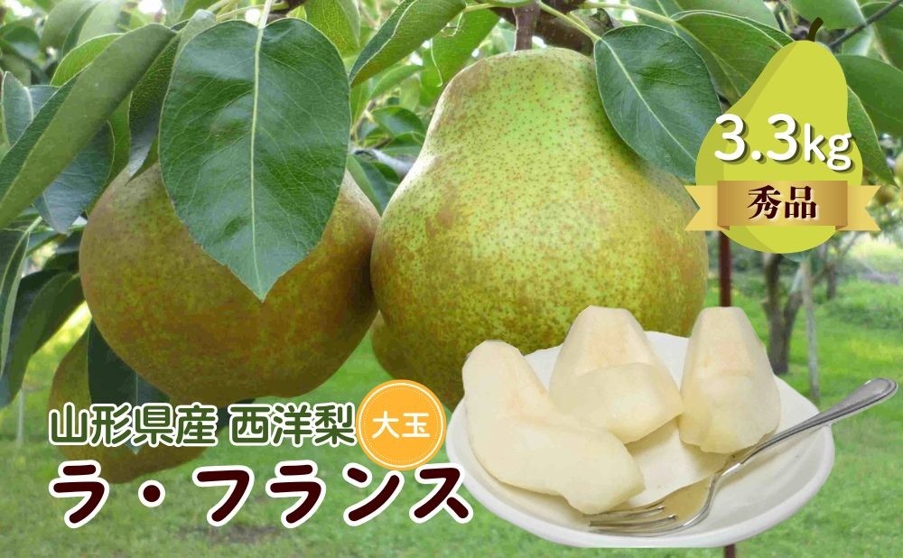 
                  西洋梨（ラフランス）３.３ｋｇ　大玉　秀品　0009-2611
                