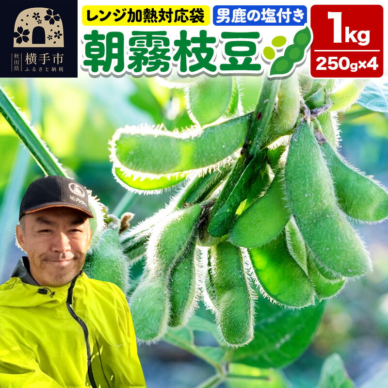 【ふるさと納税】朝霧枝豆 1kg（枝豆 250g×4袋、男鹿の塩 25g） 秋田新鮮組