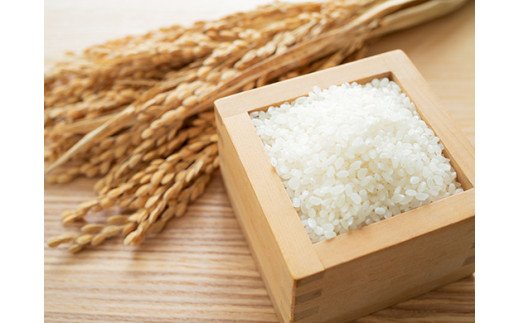 佐賀県産ゆめしずく（特A） 白米4.5kgと玄米5kg 015-B825