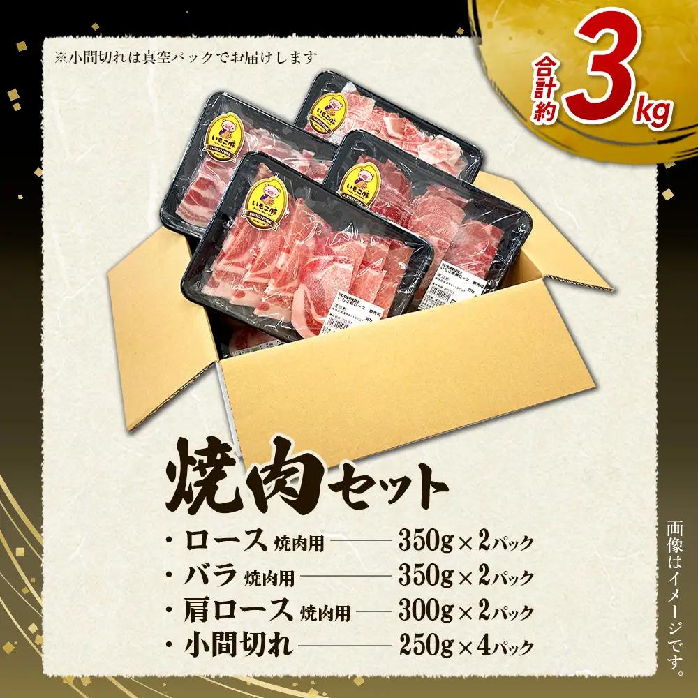 【6回定期便】豚肉 宮崎県産 いもこ豚 焼肉 セット 3kg × 6回 総合計 18kg 切り落とし 小分け 豚 豚バラ バラ ロース 肩ロース スライス 小間切れ 焼肉用 焼き肉 BBQ 鉄板焼き 