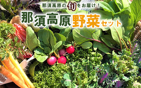 那須ブランド 那須高原野菜セット ｜ 野菜 お野菜 新鮮 詰め合わせ やさい みずみずしい 美味しい 自然 栃木県 那須町〔B-80〕 ※北海道・沖縄・離島への配送不可 ※2025年11月上旬～2026年10月下旬頃に順次発送予定
