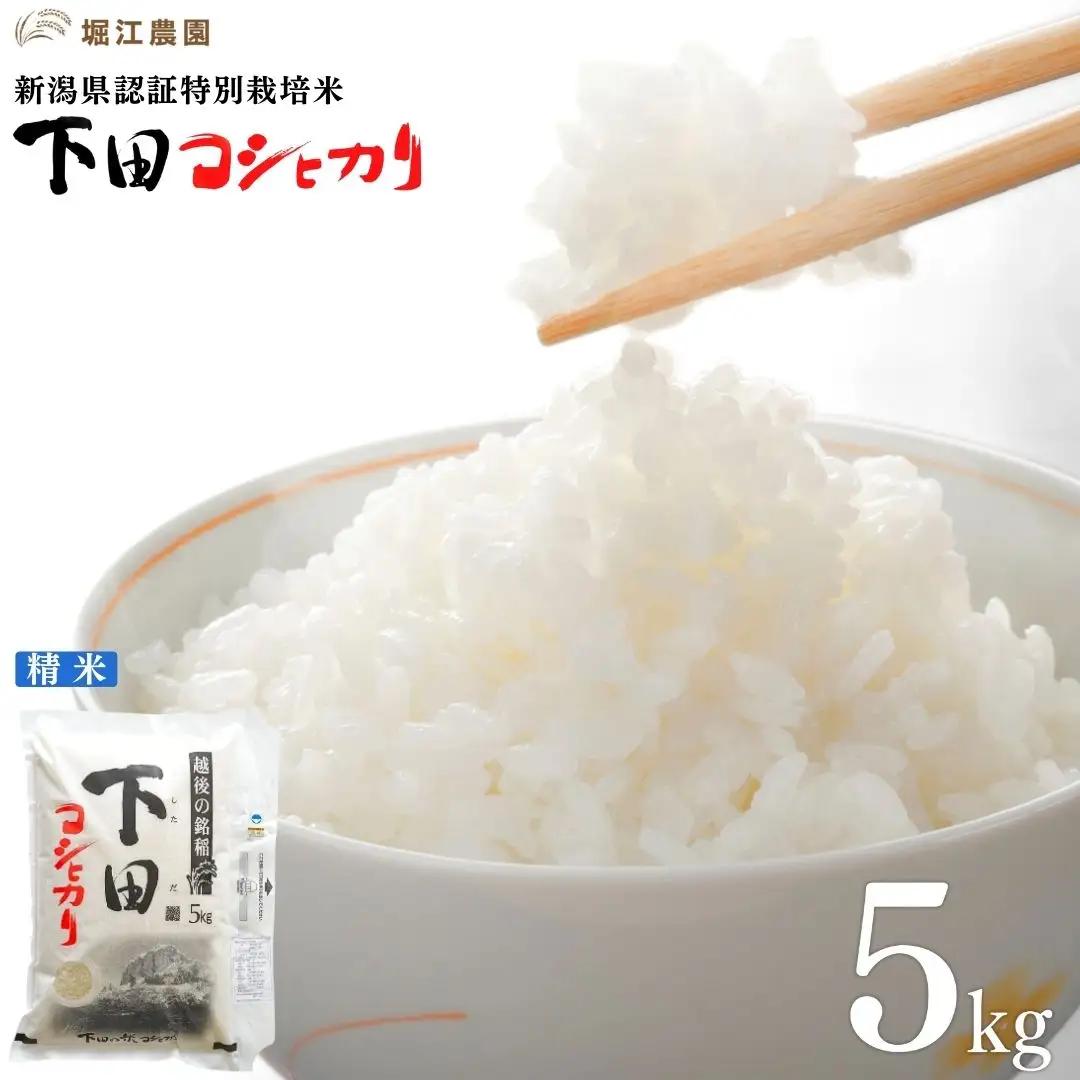 新潟県認証特別栽培米 下田コシヒカリ 5kg  令和7年産 三条市産 こしひかり 特別栽培米 堀江農園