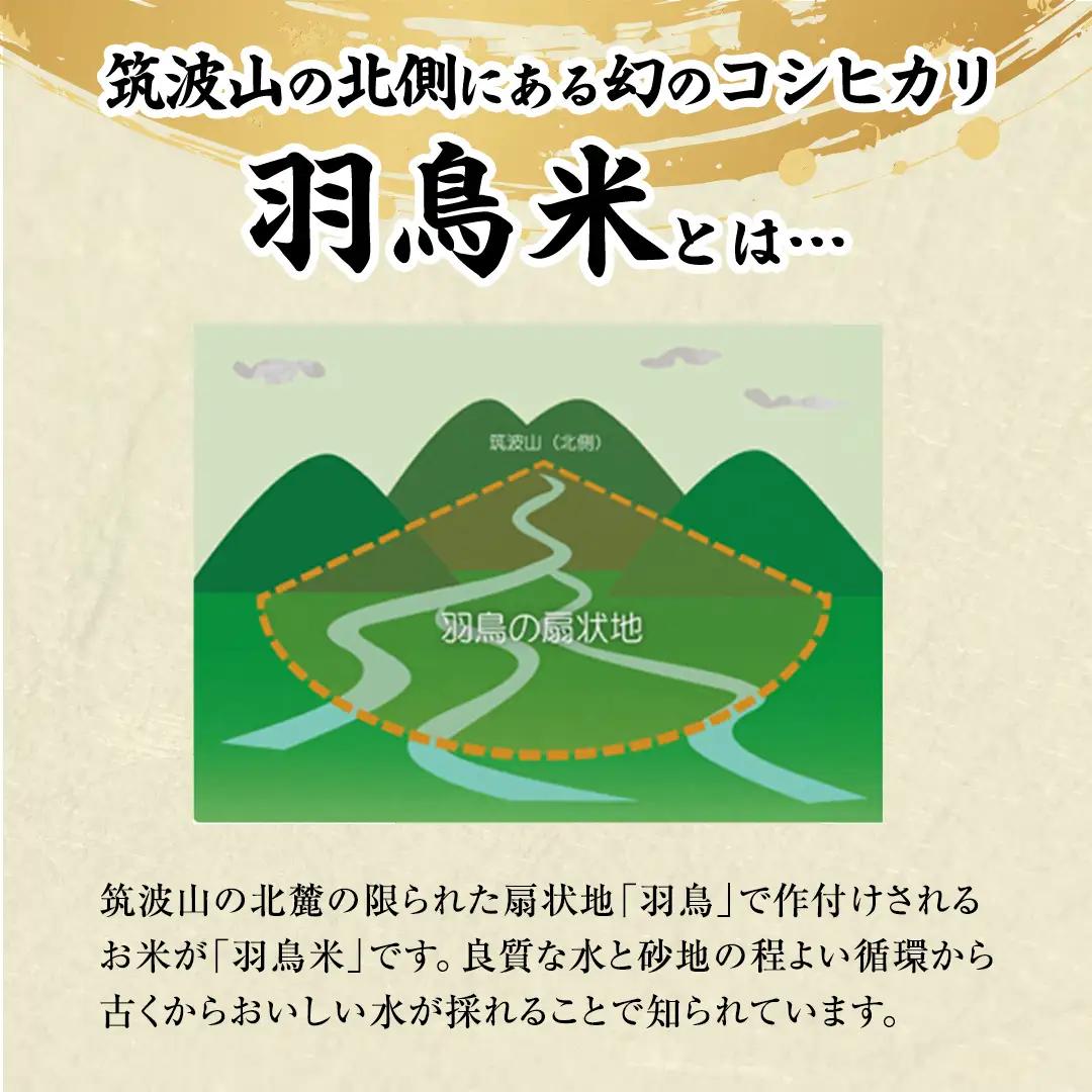 《 令和7年産 先行予約 》 コシヒカリ 「幻の米 羽鳥米」 5kg (5kg × 1袋) 筑波北麓秘蔵米 お米 ごはん 精米 コメ 白米 国産 茨城県 桜川市 限定 期間限定 数量限定 銘柄米 [A
