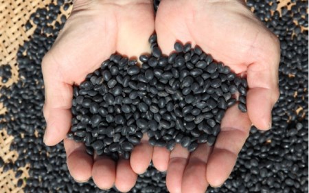 【小国のゆめ】加工品 4種 詰め合わせ 黒大豆 味噌 おから茶 おから粉末 阿蘇 熊本 小国郷 国産 小国産 農福連携 就労支援 大豆 加工品 SDGs 優しい味わい 食べて応援 常温保管 ご自宅用 
