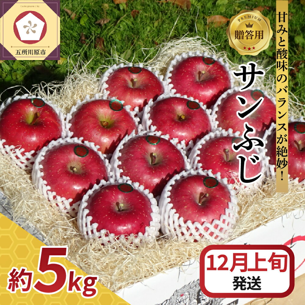 【ふるさと納税】《 先行予約 2025年12月上旬発送》 贈答用 サンふじ 5kg 青森 / りんご リンゴ 林檎 サンふじ さんふじ フジ フジ アップル 果物 くだもの フルーツ 贈答 贈り物 ギフト 5キロ 国産 青森県 五所川原市