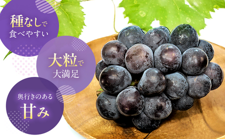 【2026年先行予約】 ぶどう 岡山県産 オーロラブラック （ 種無し ）約2kg（3～5房） 《2026年9月上旬-中旬頃出荷》 葡萄 ブドウ フルーツ 果物 スイーツ 数量限定 期間限定 岡山 里