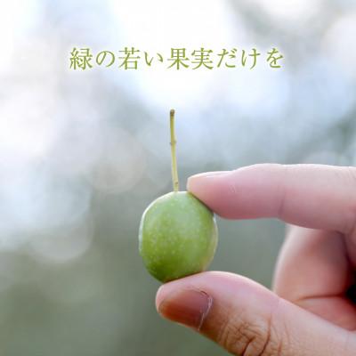 ふるさと納税 小豆島町 【井上誠耕園】〜2024年とれたて〜 新漬けオリーブ マンザニロ種 80g×20袋 |  | 01