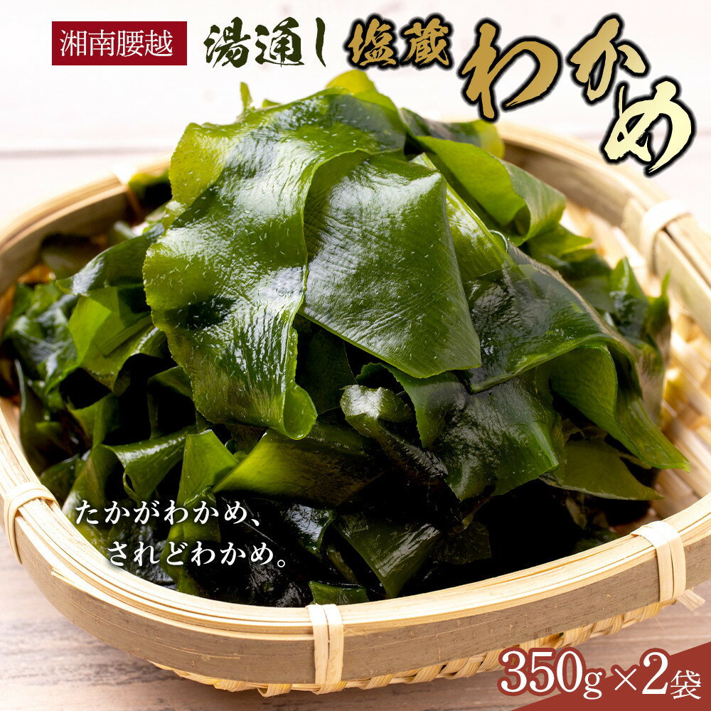 【ふるさと納税】【湘南腰越名産！】湯通し「塩蔵わかめ」350g×2袋 | 海藻 魚介類 水産 食品 人気 おすすめ 送料無料