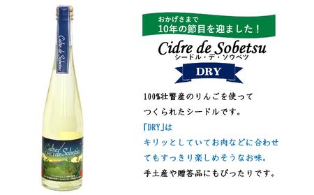 シードル・デ・ソウベツ（ドライ）500ml×12本 【 りんご 林檎 リンゴ アップル 果汁 】 SBTA023