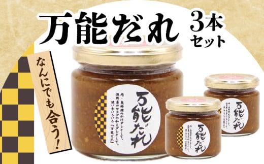 万能だれ3本セット | 白長ねぎ 調味料 調味 薬味 万能調味料 ごはんのお供 おつまみ つまみ おかず お弁当 高千穂町産 国産 特産 特産品 加工品 加工食品 グルメ 贈答 贈り物 ギフト プレゼ
