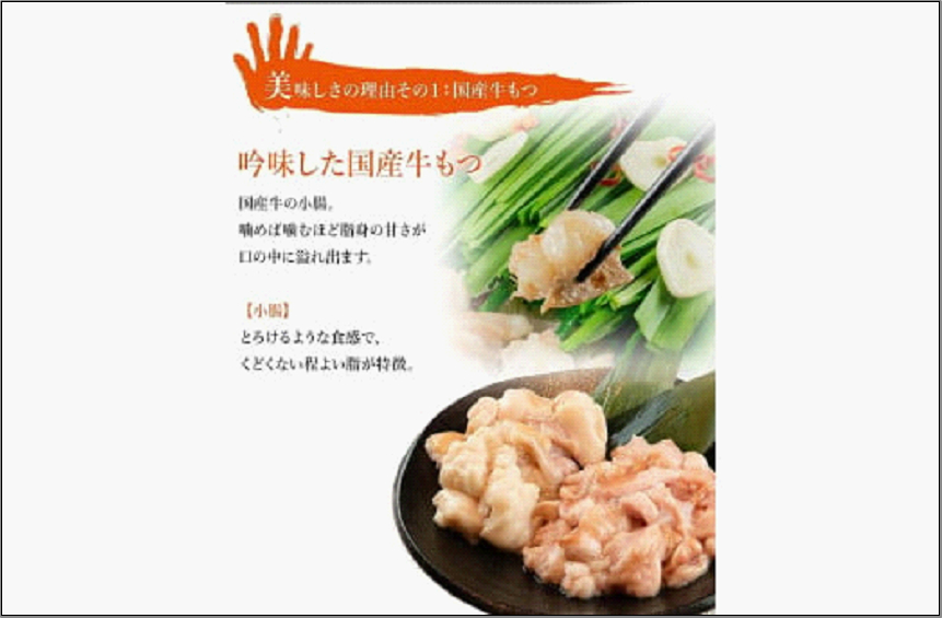 九州名物 とめ手羽 博多もつ鍋セット 九州しょうゆ味 5～6人前
