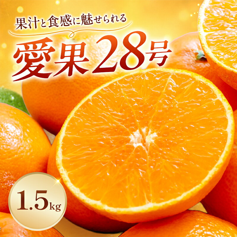【ふるさと納税】愛果28号家庭用 約1.5kg サイズお任せ　愛媛県東温市産愛果28号 東温市産 「 紅まどんな 」の同一品種（品種名： 愛媛果試28号 ） 今が旬 農園直送 みかん 人気 数量限定 先行予約 愛媛みかん かんきつ 愛媛県　お届け：2026/12/中旬～2027/1/下旬