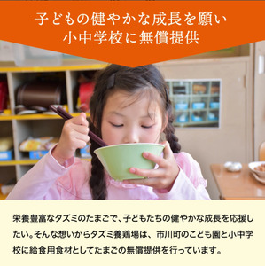 【累計600万個突破！】★TVで紹介されました★【定期便】タズミの卵Ｍサイズ（20個×6か月）030AB02N.／こだわり卵 市川町産 兵庫県産 たまご たまごかけご飯 玉子 生卵 鶏卵 タマゴ 卵焼