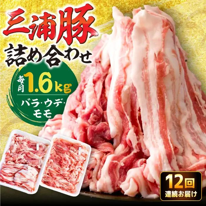 【12回定期便】 特盛三浦豚 1.6kg 豚肉セット / 恵那市 / あづま精肉店 [AUDL008]