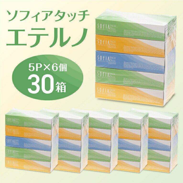【ふるさと納税】マスコー製紙 ソフィアタッチ エテルノ ティッシュペーパー 150組×5箱×6パック (30箱)　送料無料 静岡県 富士宮市