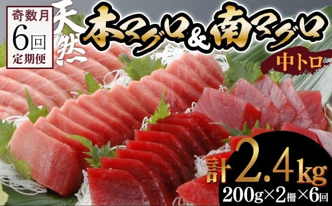 
【６回定期便】天然本マグロ　天然南マグロ　中トロ　各1柵　奇数月にお届け
