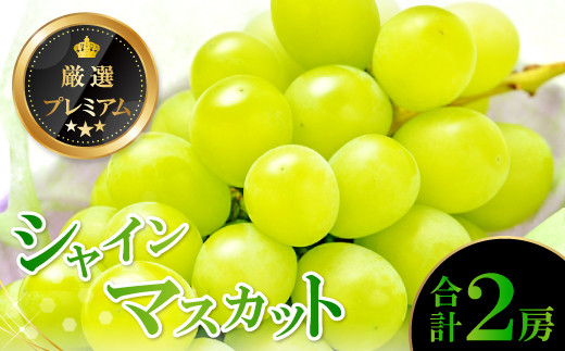 C-515 厳選プレミアム シャインマスカット 2房
