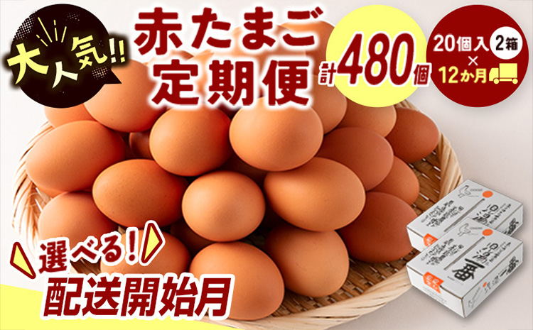 ＜児湯養鶏自慢の卵＞ネッカリッチ赤たまご「児湯一番」 計480個 （20個入×2箱）×12か月定期便【E19-2025-11】