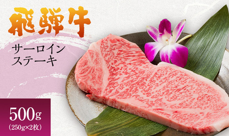飛騨牛 サーロインステーキ 岐阜県産 飛騨牛【250g×2枚 計500g】