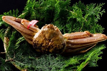 86．【先行予約】鳥取県産　タグ付き活松葉がに　800g以上×1枚