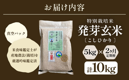 【期間限定】【2ヶ月連続お届け】【令和7年産】発芽玄米 特別栽培米 コシヒカリ 5kg×2回（計10kg）【米 玄米 こしひかり ギャバ GABA 特別栽培 食物繊維 栄養 真空パック ごはん ご飯 