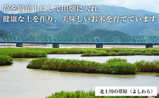 令和6年産 ヨシ腐葉土米 つや姫 精米8kg（4kg×2袋）宮城県産 つや姫 精米 つや姫 石巻産 つや姫