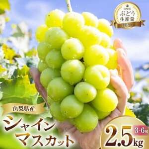 朝採れ シャインマスカット 2.5kg (3～6房) 山梨県山梨市 【2025年先行受付】数量限定【配送不可地域：離島・沖縄県】【1566263】