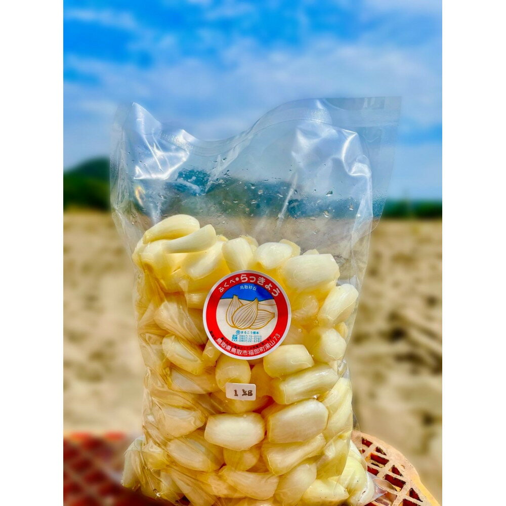 【ふるさと納税】橋本さんちの生洗いらっきょう 1kg | ふるさと納税 らっきょう らっきょ 辣韭
