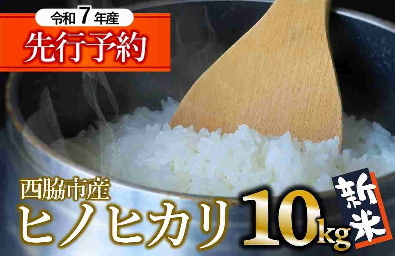 
            【新米先行予約】令和７年産【ヒノヒカリ】10kg 白米  (33-32) 米 お米 10kg 米10kg 兵庫県産 ひのひかり ヒノヒカリ 西脇市産 令和7年産 R7年産 2025年産 精米
          