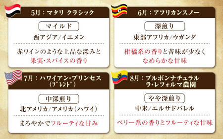 【全12回】江田島シティローストブレンド コーヒー豆or粉 全13種 コーヒー[XBE084]