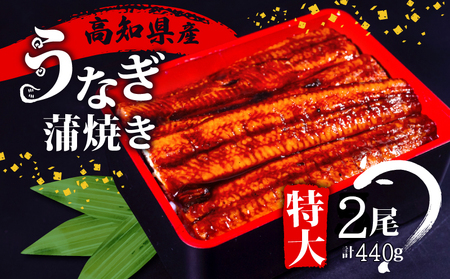 【 国産うなぎ 】 国産うなぎ 有頭 うなぎ蒲焼き 220g 2尾