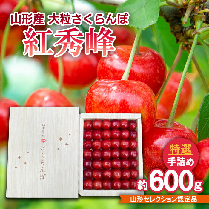 【ふるさと納税】山形産 大粒さくらんぼ 紅秀峰 特選 手詰め 約600g 山形セレクション認定品 【令和7年産先行予約】FS24-633 くだもの 果物 フルーツ 山形 山形県 山形市 お取り寄せ 2025年産