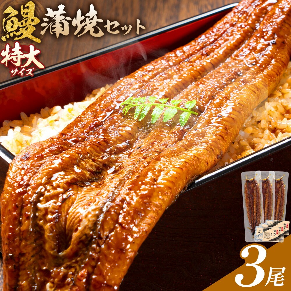 
                  ＼特大サイズ／ 鹿児島県産 鰻蒲焼真空セット！3尾  タレ・山椒付！ 株式会社薩摩川内鰻 《30日以内に出荷予定(土日祝除く)》  鹿児島県 さつま町 送料無料 ウナギ 丑の日 うなぎ 刻み グルメ 特大 鰻 蒲焼 真空
                