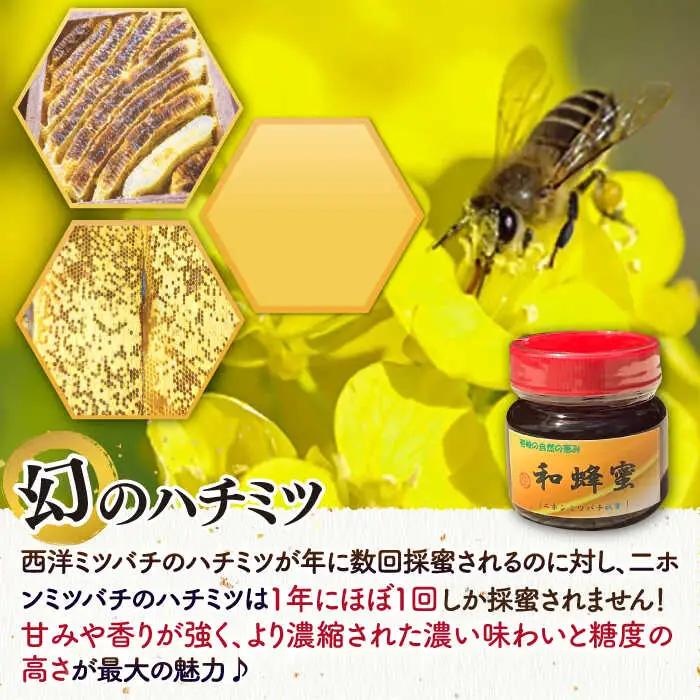 和蜂蜜（ニホンミツバチ）300g [JDP004] ハチミツ