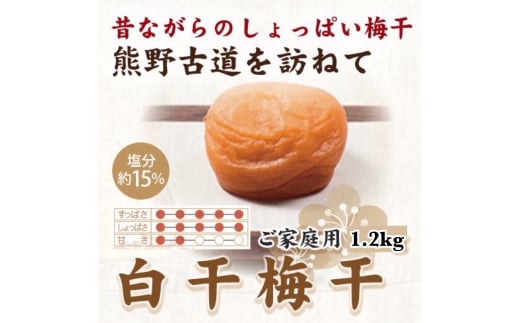 紀州南高梅 白干梅干し 1.2kg ご家庭用 【US18】【uts025】