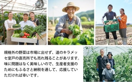 【定期便2回】旬野菜定期便 7品以上 旬野菜定期便 10品 野菜定期便 詰め合わせ定期便 朝どれ野菜定期便 季節 定期便