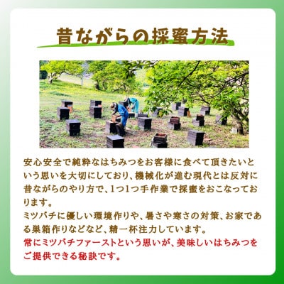 みつばちの雫　国産くり蜂蜜　500g+300g
