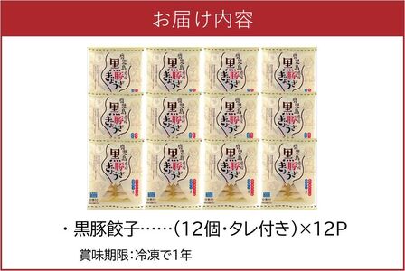 062-1-14 鹿児島黒豚餃子12P(計144個)
