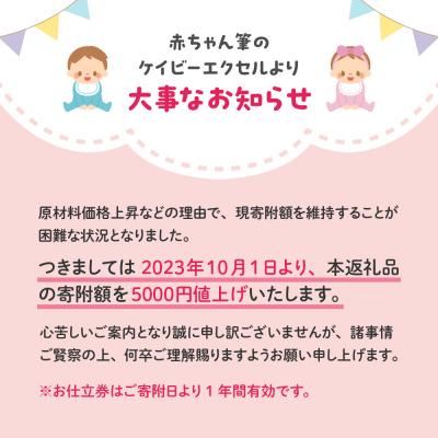 ふるさと納税 呉市 赤ちゃんの筆「グレインGN　ニュアンス」1個お仕立券 |  | 01