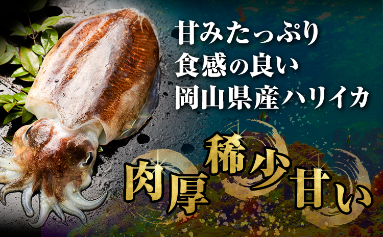 炊き込みご飯 寄島 漁港の釜飯 いかめし 220g×2個 6回 （製造地：岡山県浅口市）ハレノヒ良品(まからずやストアー)《申込み月の翌月から発送》岡山県 浅口市 イカ 釜めし セット【配送不可地域あ