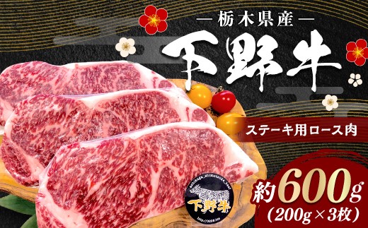 栃木県産 厳選下野牛！ ロース ステーキ用 600g(200gx3枚) 国産 ブランド牛 牛肉 牛 ビーフ 肉 料理 小分け カット済み 食品 冷凍 贈答 贈り物 プレゼント ギフト 自宅 家庭 栃木県 足利市 F7Z-1966